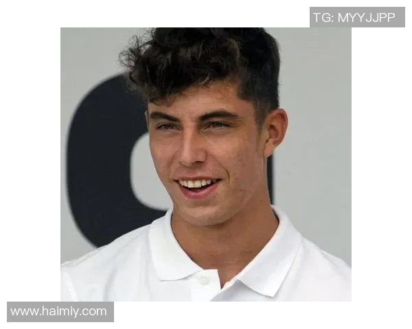 哈弗茨足球明星头像解析：从青涩新星到全球聚焦的赛场巨星